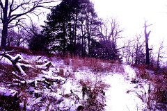 photo 0246